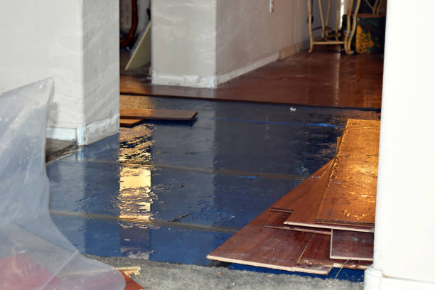 Professional Sewage Cleanup technician working in Marine, IL